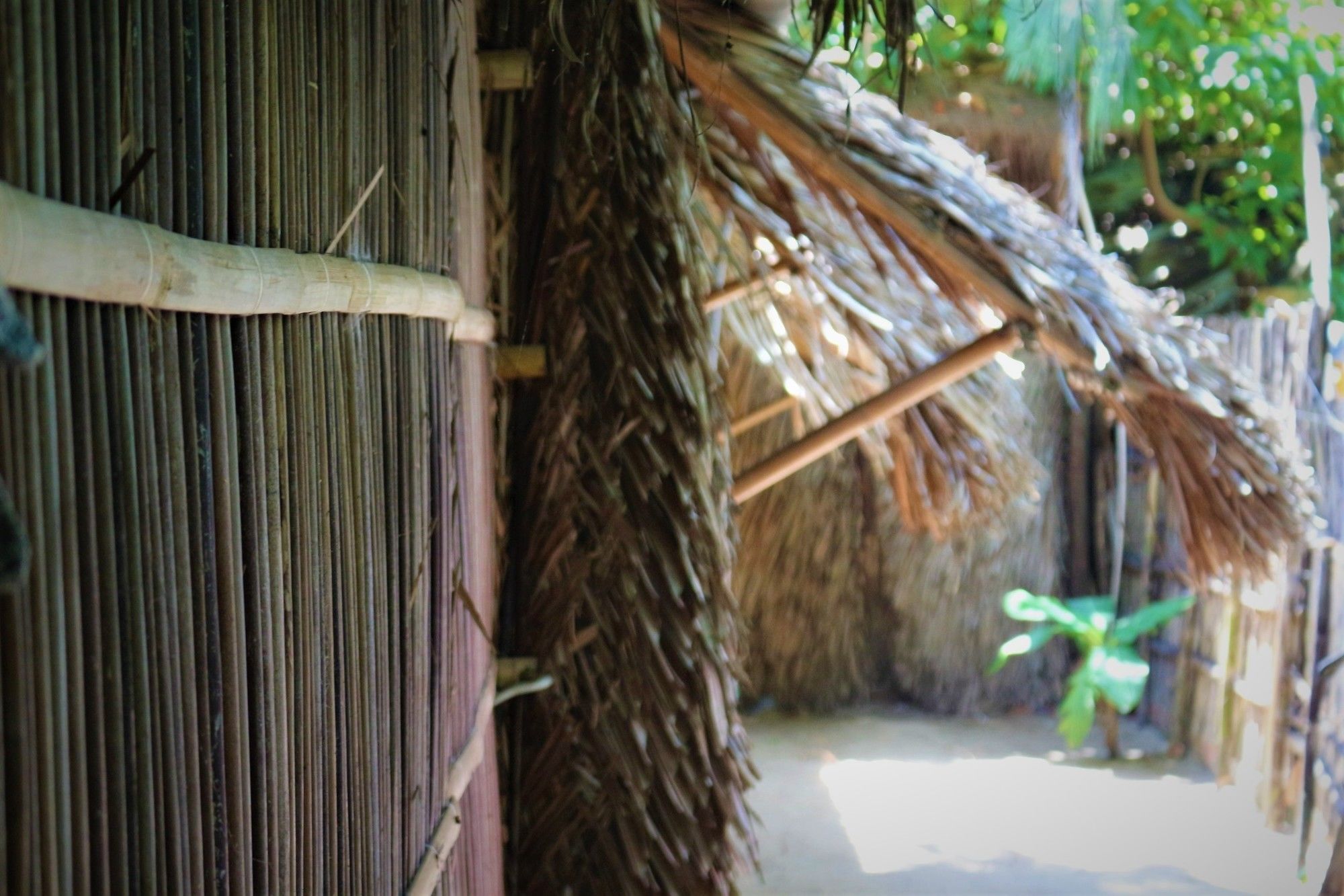 Under The Coconut Tree Hotel Hoi An Exterior foto